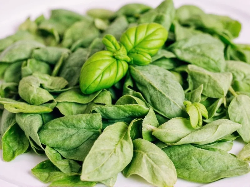 How to Dry Sweet Basil: 4 Effective Methods for Perfect Results