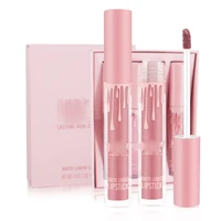 

Woman Fashion Beauty makeup Maquillaje Pink Lip Gloss Tubes Custom Lip Gloss Liquid Lipstick Lip Gloss Set Private Label