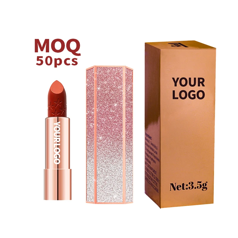 

Wholesale Matte Waterproof Long Lasting OEM Private Label Liquid Lip Gloss Custom Logo Lip stick, 10color