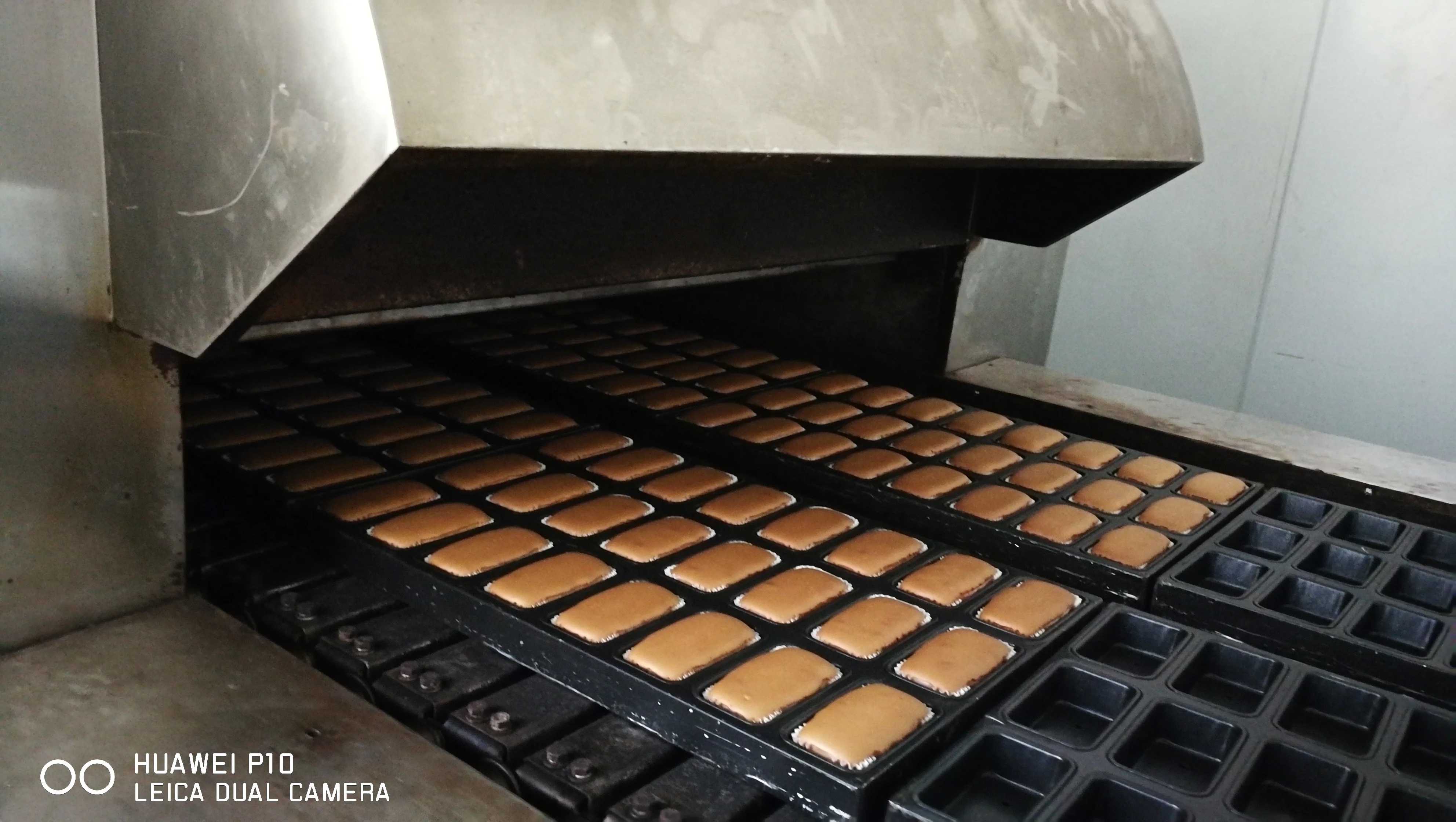 Homphon Gas Baking Machine Line Tunnel Oven For Khubz With Stepless And