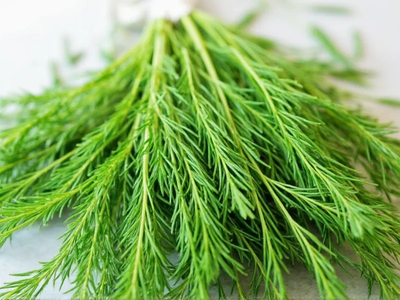 Dill Weed Health Benefits: Science-Backed Facts