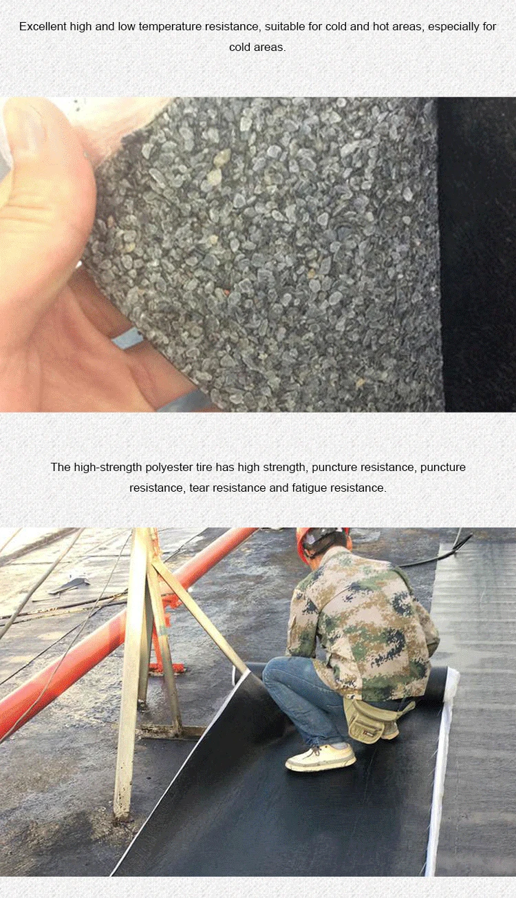 SBS(3)_03_02.jpg