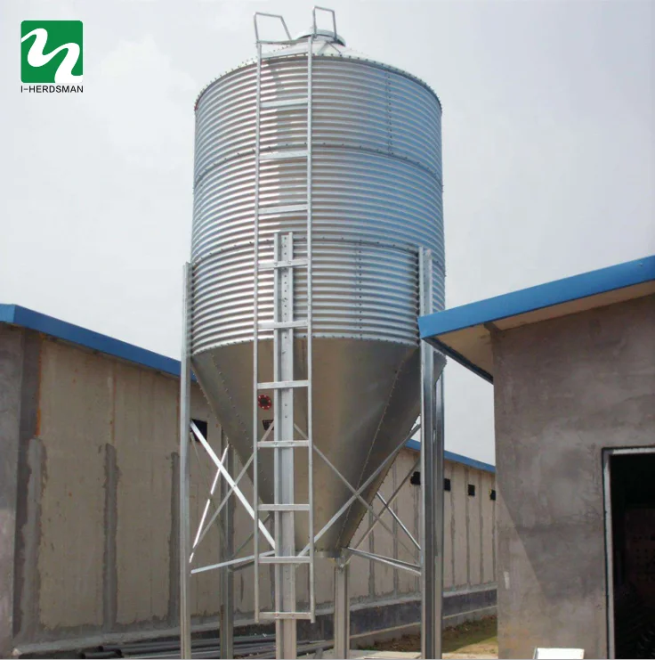New Design Poultry Feeding System Equipment Chicken Broiler Feeding