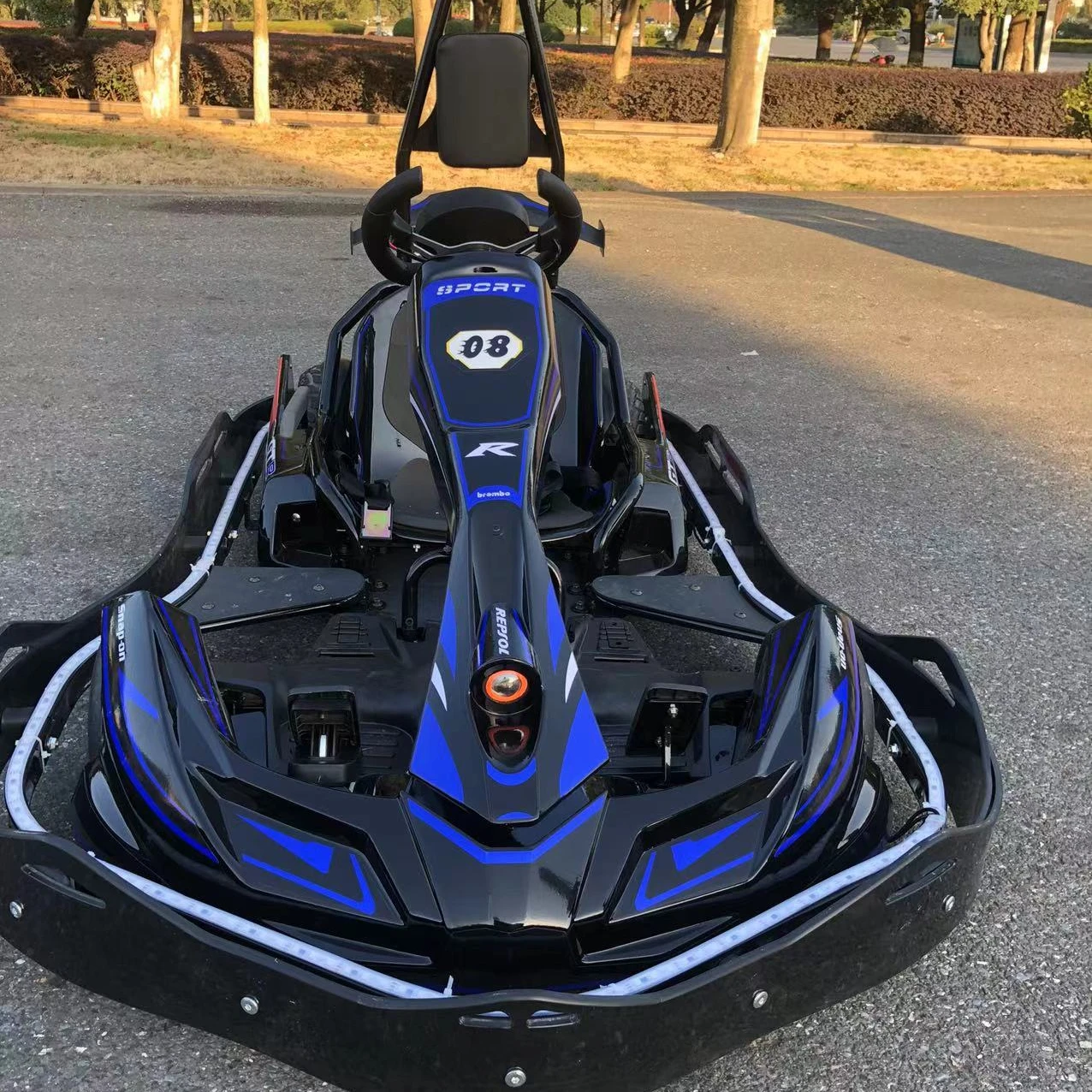 

Hot Sale Go Kart Pro high speed kids racing go karting adult racing go kart for sale max speed 60km/h