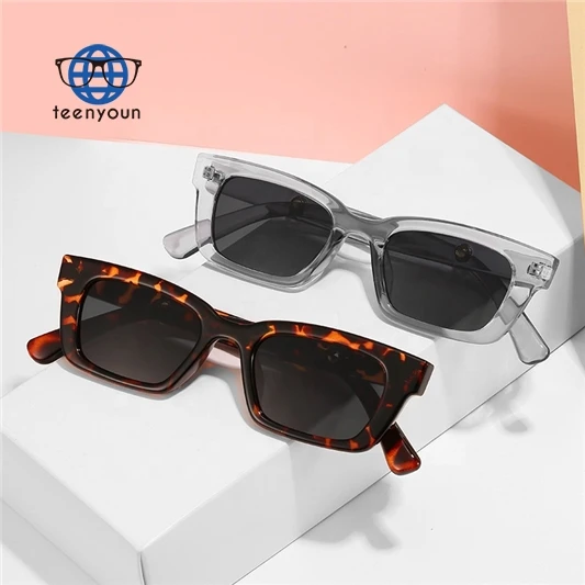 

Teenyoun Retro Ladies Small Frame Sunglasses 2023 New Plastic Transparent Gafas De Sol Square Cat Eye