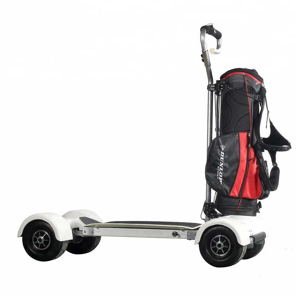 

Shock Absorber dual motor Electric Golf Cart Scooter