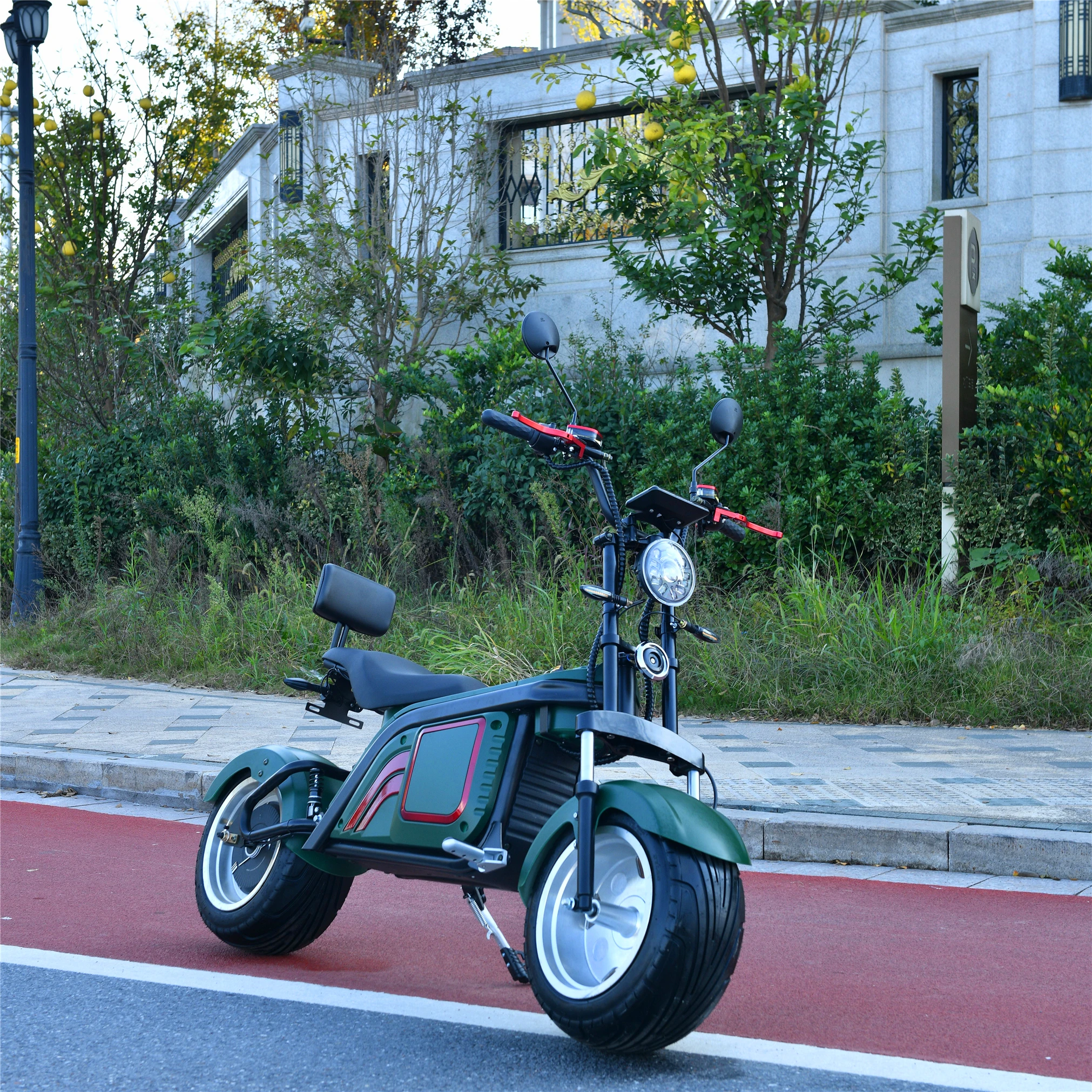 

EEC COC citycoco style 1000w 1500w high speed electric scooter/5000w electric motorcycle, Blue red black