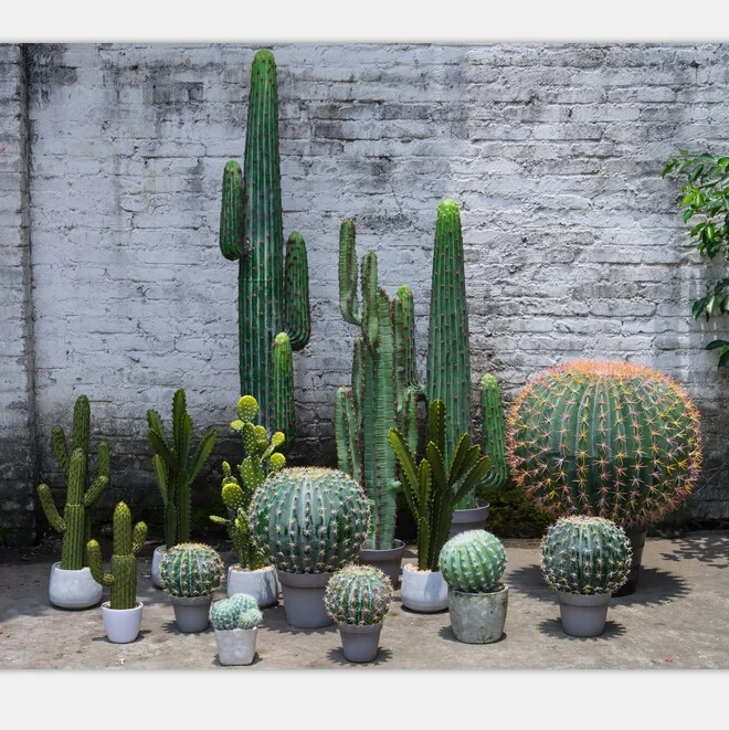 

Indoor decorative artificial cactus with pines, Green
