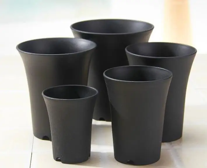 

Succulent bulb plant Plastic flower pot high waist Vientiane basin