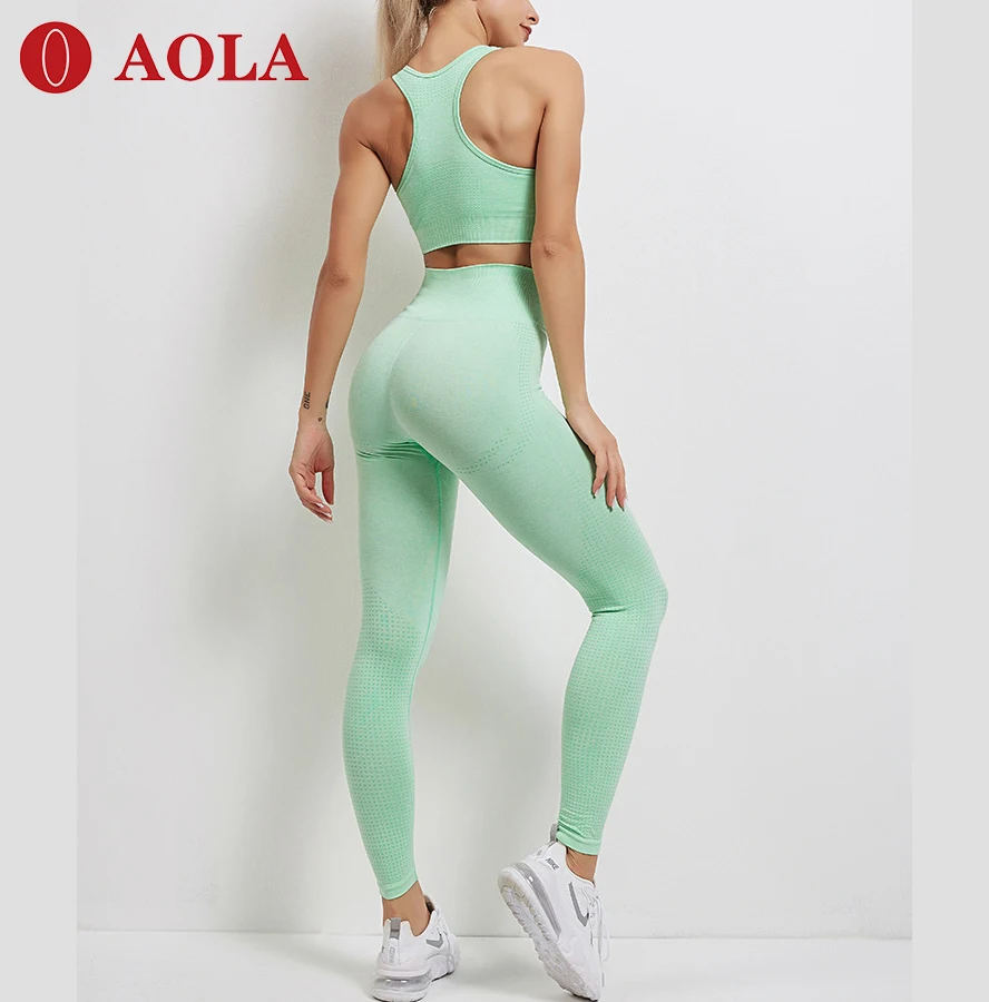 

AOLA wholesale 2pcs Clothing Sets Custom Logo Womens Workout Leggings Athletic Apparel 2 Piece Yoga Set For Women, Picture showed