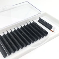

Private label 0.03 0.05 0.07 8-15mm white tray volume single lash extension supplies individual mink eyelash extension tray