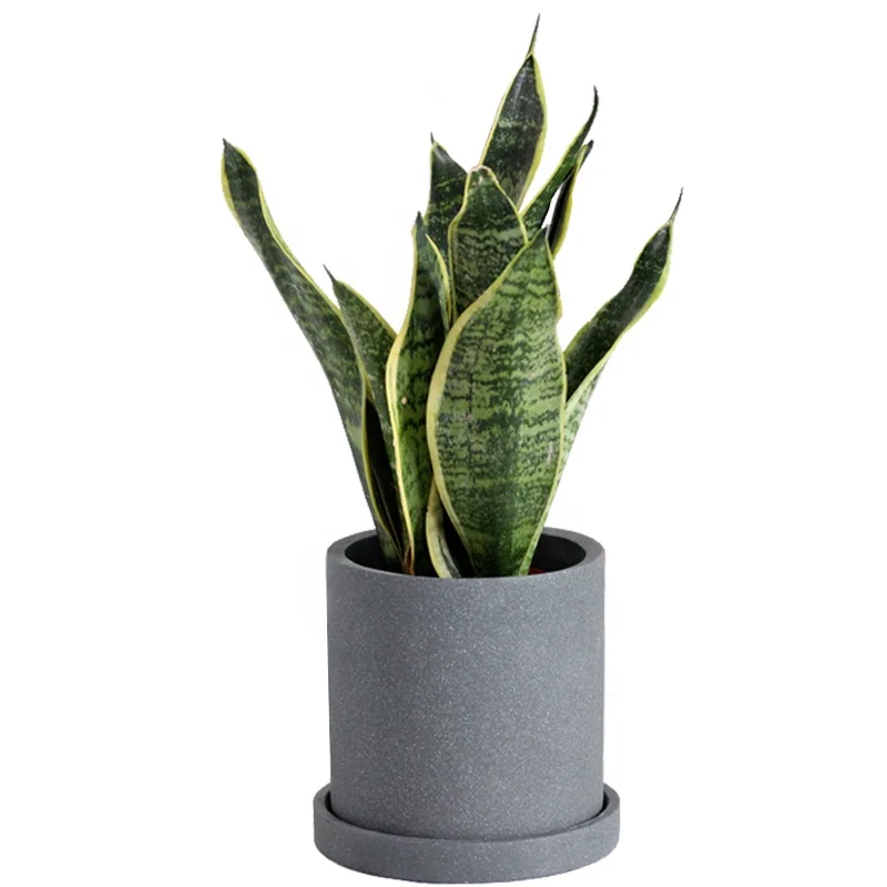 

Simple nordic cement flower pot concrete pot with elegant paint for home decor, Dark grey