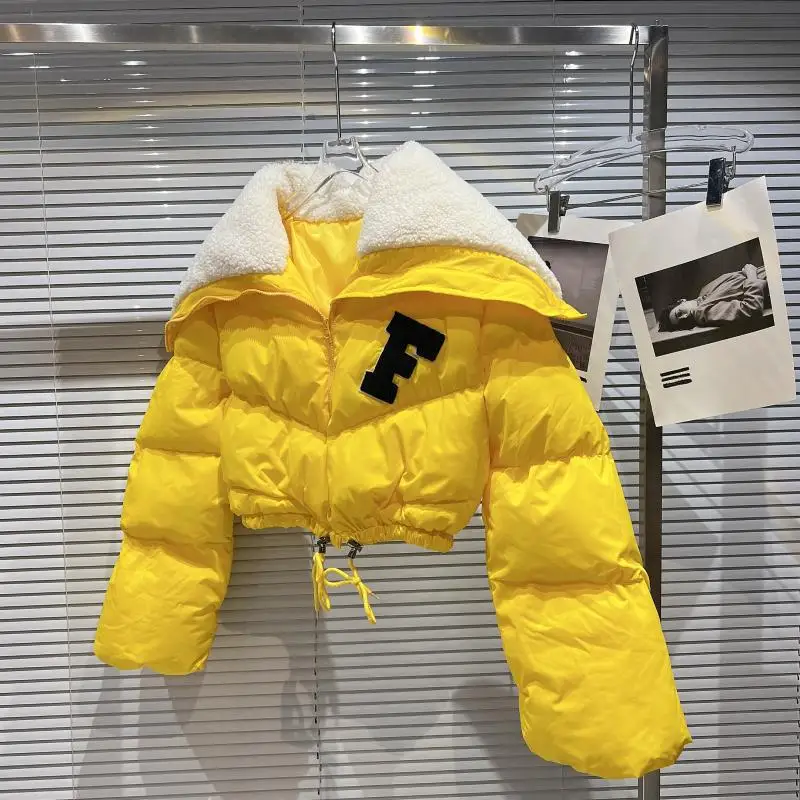 

2022 winter puffer jacket ladies warm hooded women's down coats women slim long down winter women coats jackets, Picture color