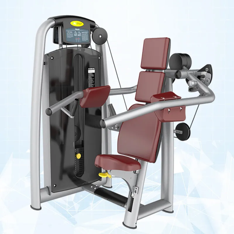 

High Quality Delt Machine / Gym Equipment Suppliers from China Steel Fitness Equipment Export Wooden Case Main Frame 5 Years MND