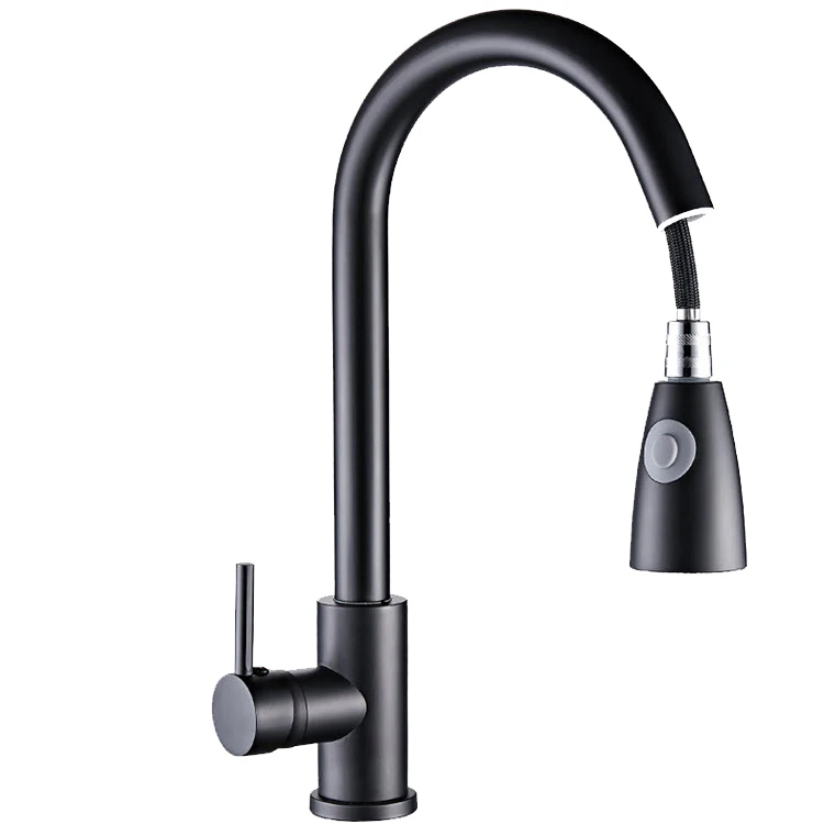 

304 Ss Black Kitchen Faucet With Pull-Out Spout