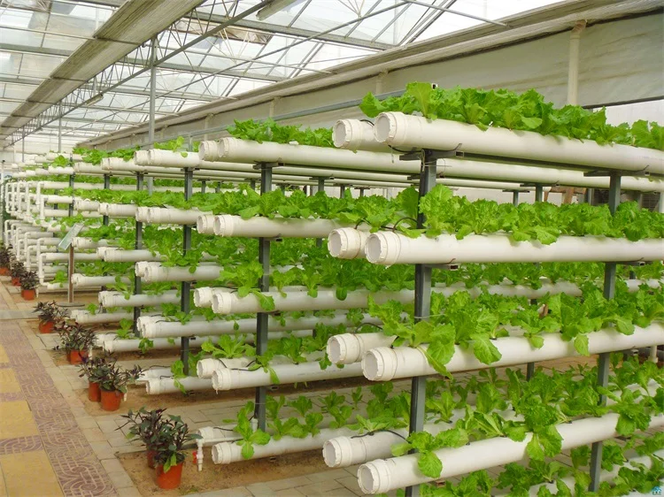 indoor hydroponic greenhouse