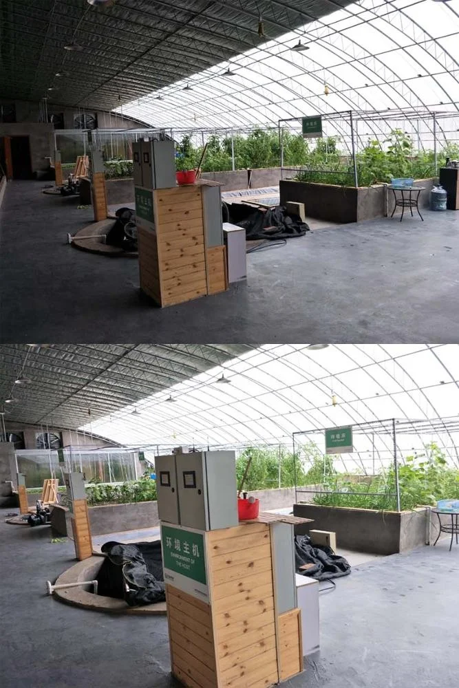 diy aquaponics system.jpg