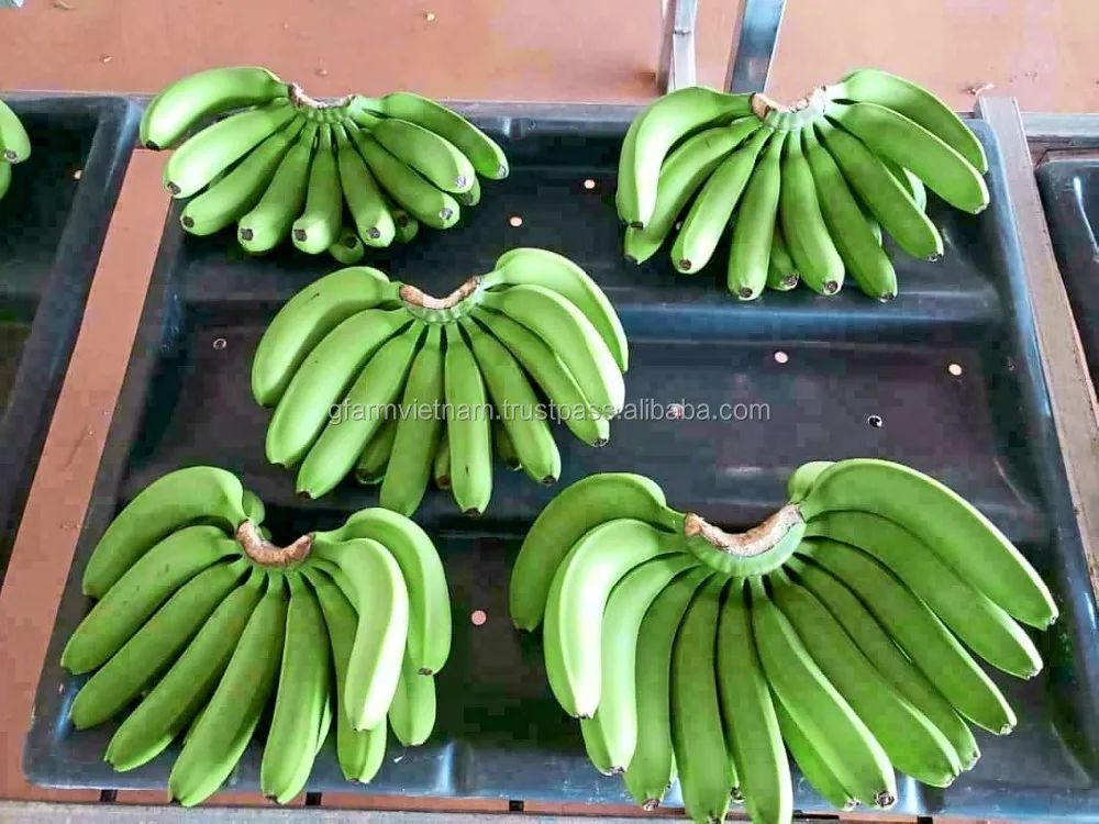 
Organic fresh cavendish banana hot 2020 for sales packing carton 9-13-13.5kg 