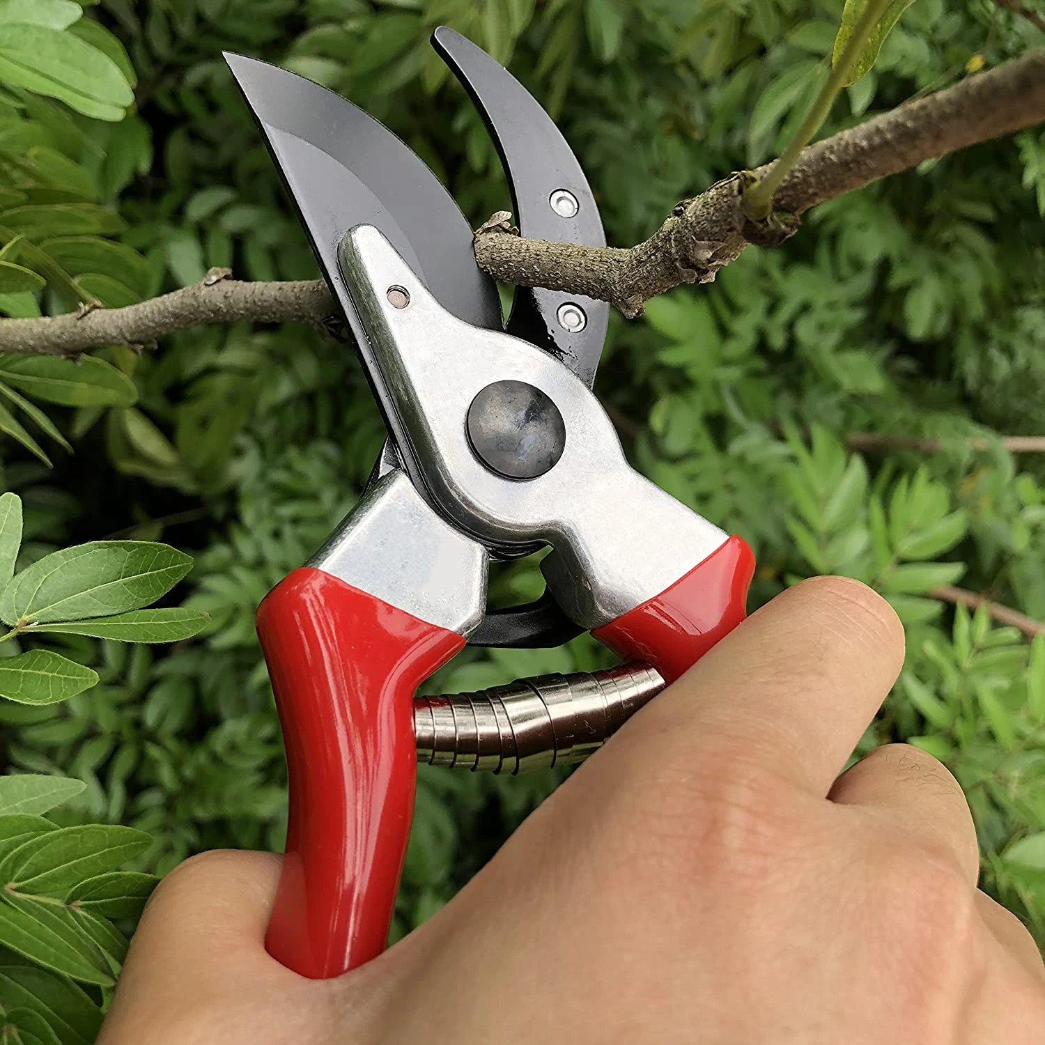 Секатор pruning Shears