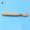 In China Life Size Nursing Care Hand Intramuscular Injection Operation And Comparison Model For Training Medical Mannequin Arm