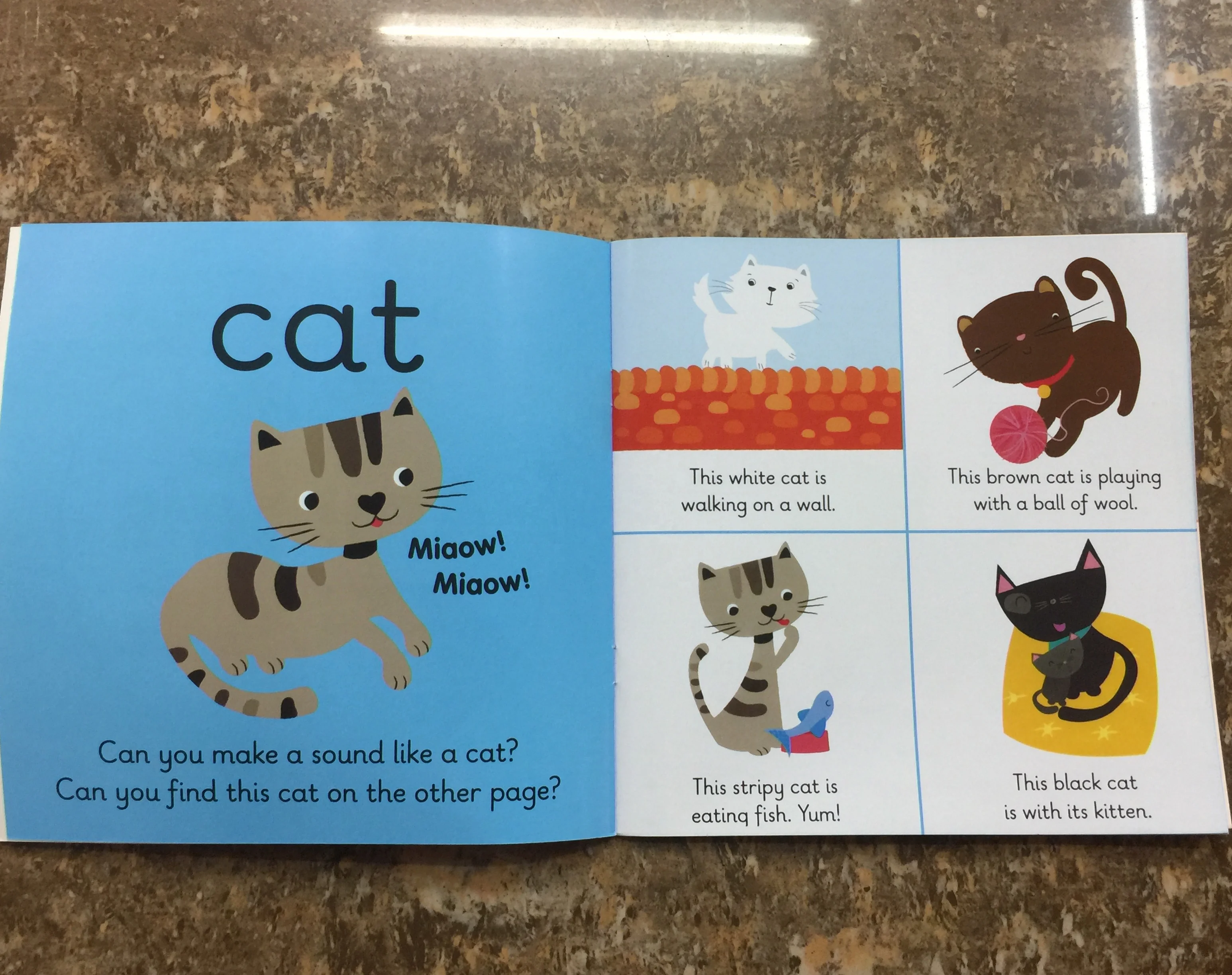 

2020 bright in colour high quality children english learning book for beginner