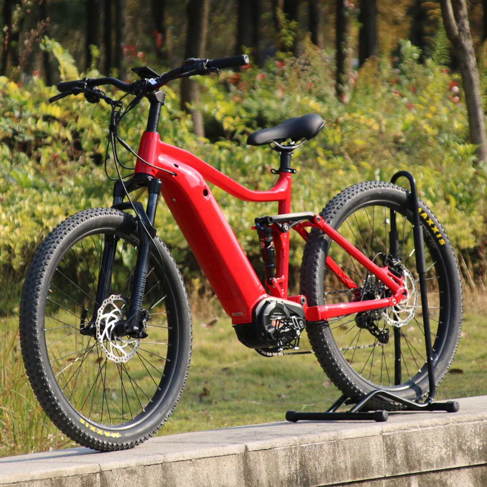 bafang 1000w ebike