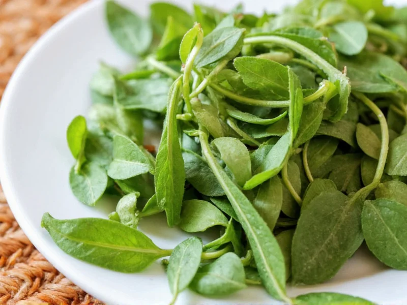 Sweet Marjoram Recipes: 5 Flavorful Dishes to Try Today