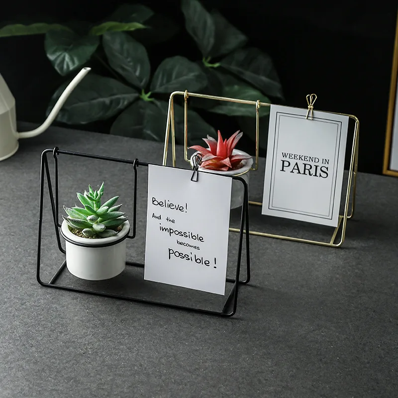 

Nordic ceramic simple iron frame Gold-plated succulent flower pot, White