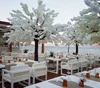 Artificial wedding cherry blossom 2.5m hight pink tree for sale, View wedding blossom tree plaza, hotel,restaurant, airport
