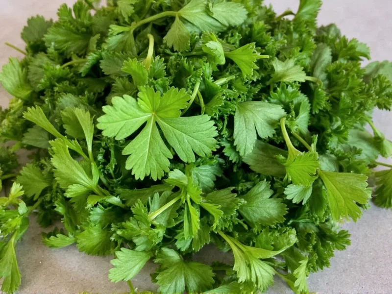Best Parsley Substitutes: Top Herb Alternatives for Cooking