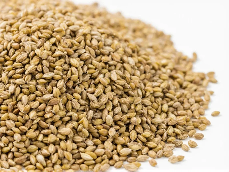 Ground Coriander Seeds: Uses, Benefits & Storage Tips