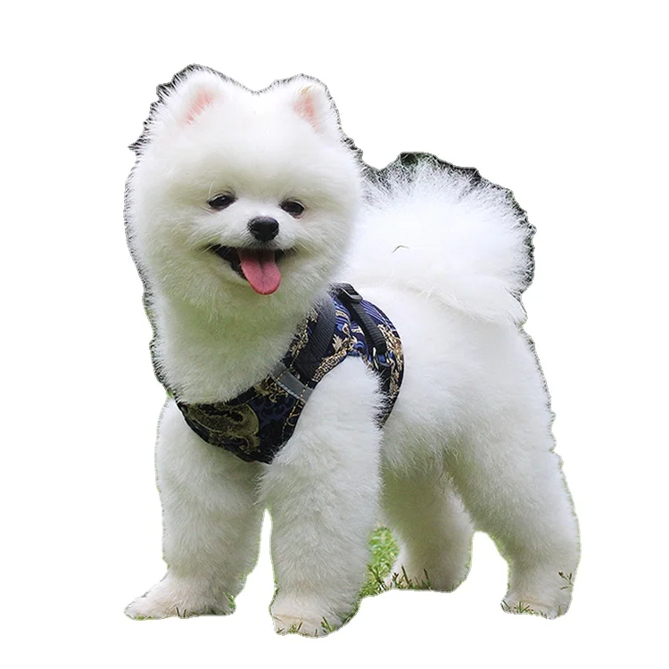 

Dog Harness Adjustable Pet Vest Dog Leash And Harness, As picture