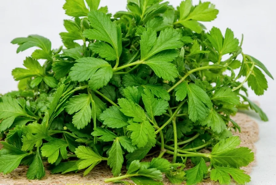 Air-Dried Parsley