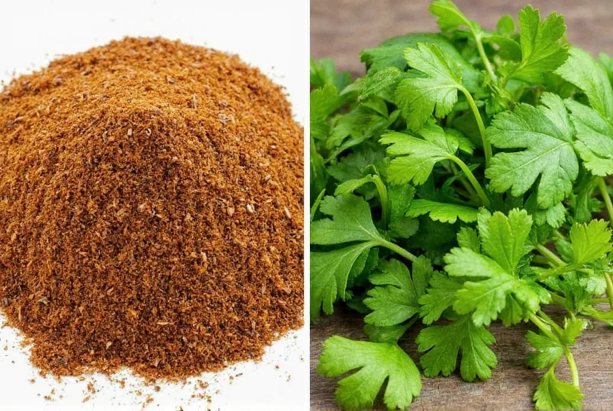 Cumin vs Cilantro: Key Differences Explained