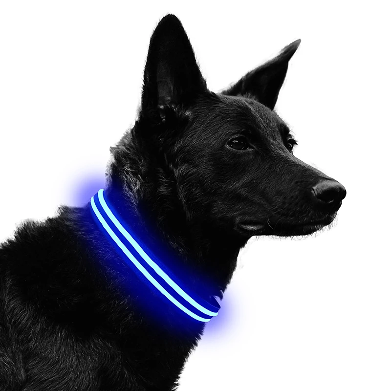 

USB rechargeable led safety light up dog collar for pets XS/S/M/XL glow puppy dogs cats collar, Red /yellow/blue/green/pink/white/orange