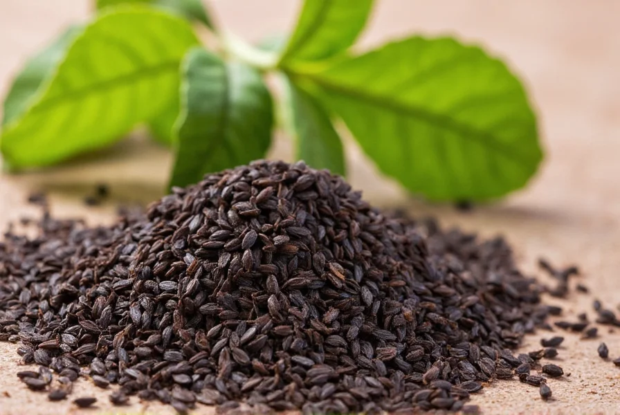 Schwarzkümmelsamen und -öl mit charakteristischen schwarzen Samen und goldfarbenem Öl