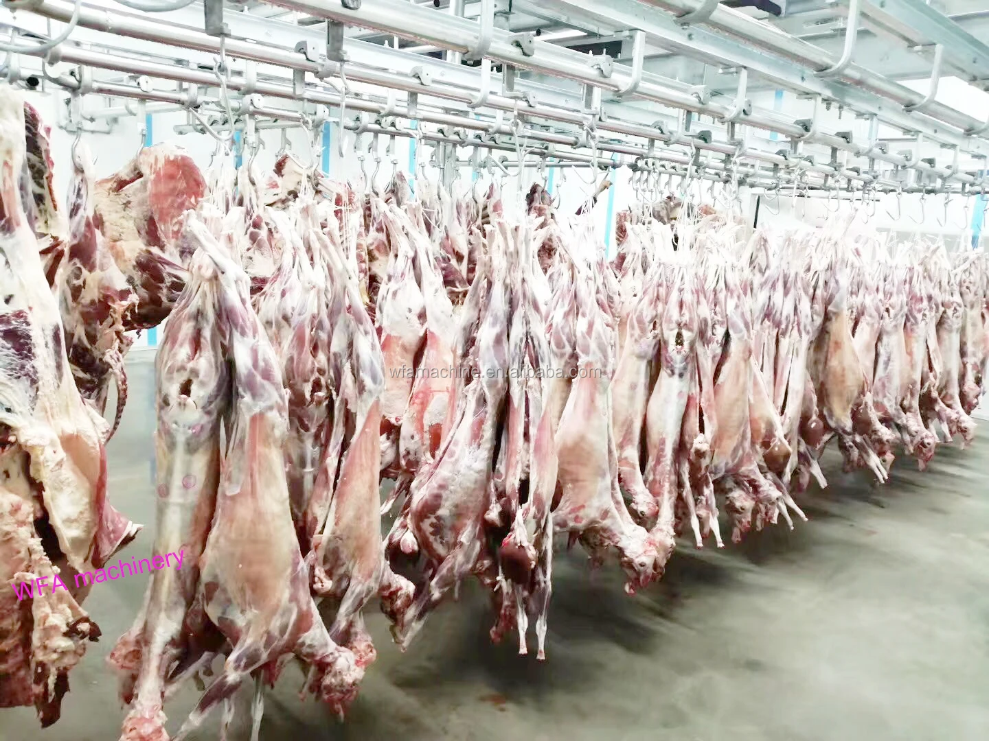 Goat Slaughter House Carcass Transportation&storage Convey Rail For ...