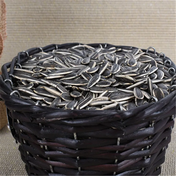 
ouji pure 361 ukraine sunflower seed growing 