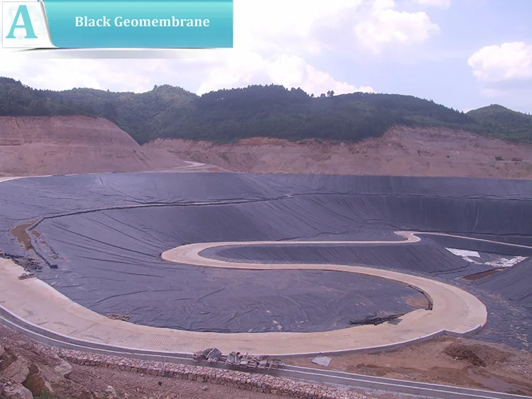 ASTM HDPE Geomembrane Dam Liner for Sale.jpg