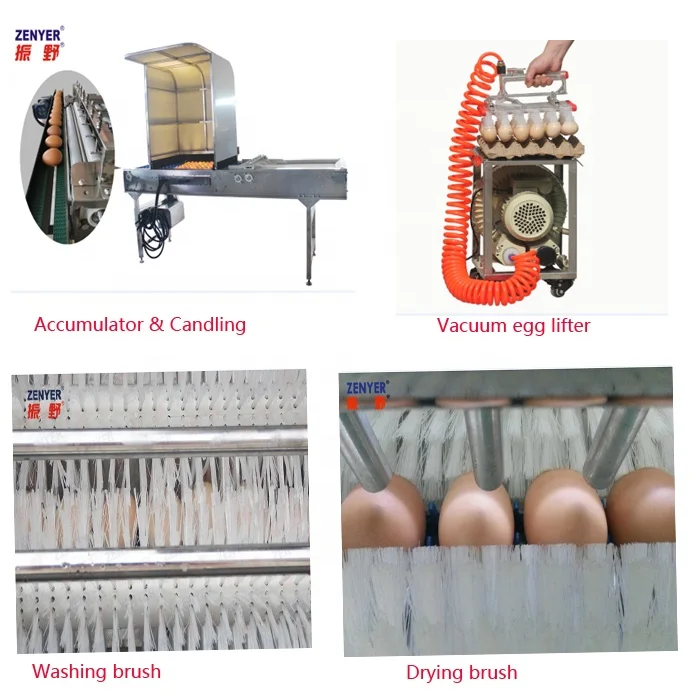 
Good quality commercial egg washing cleaning drying machine 