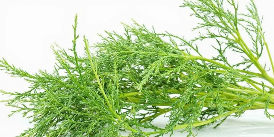 Fresh dill weed next to dried dill seeds on wooden table