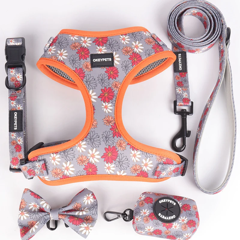 

OKEYPETS Private Label Custom Pattern Printed Luxury Breathable Vest Harness Leash Set For Small Dogs