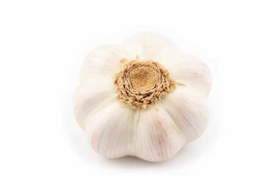 What Is One Clove of Garlic? Definition and Measurements