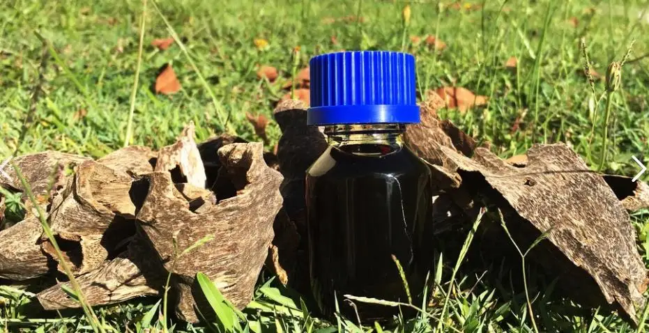 Чистый уд. Удовое дерево в парфюмерии. Удовое масло. Agarwood Aroma Oil. Удовое дерево масло.