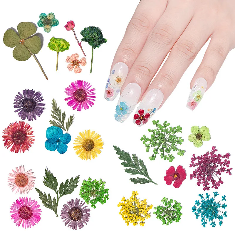 

New 12-grid Boxed Set Dried Nail Flower Ornaments Diy Women's Nail Art Dried Flower Decoration Accessories, Multi-color customization options