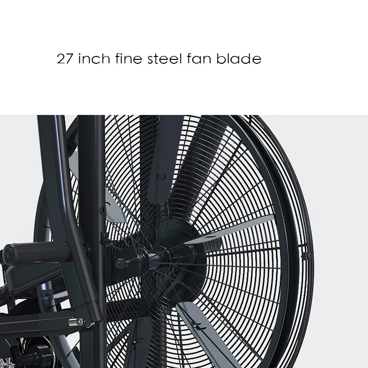 assault air bike.jpg