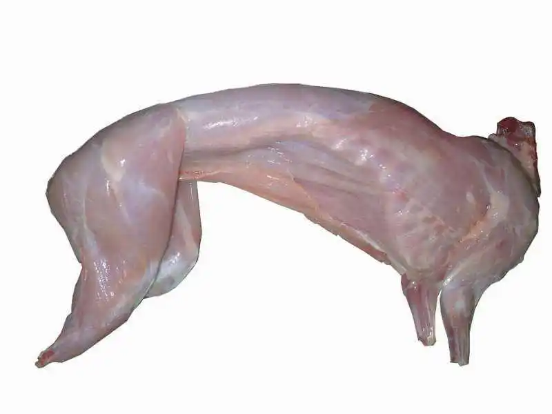 Complete Rabbit Slaughter Equipment Line Rabbit and Poultry Slaughterhouse