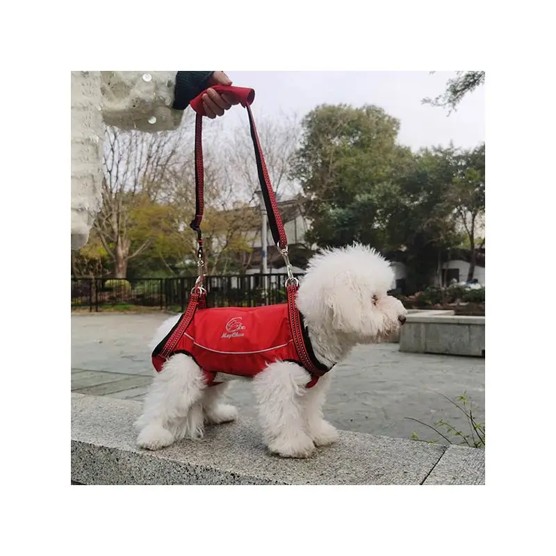 2 in 1 Reflective Pet Carriers Tote Bag Multi-sizes Warm Ventilated Dog Lifter Pet Dog Lift Harness