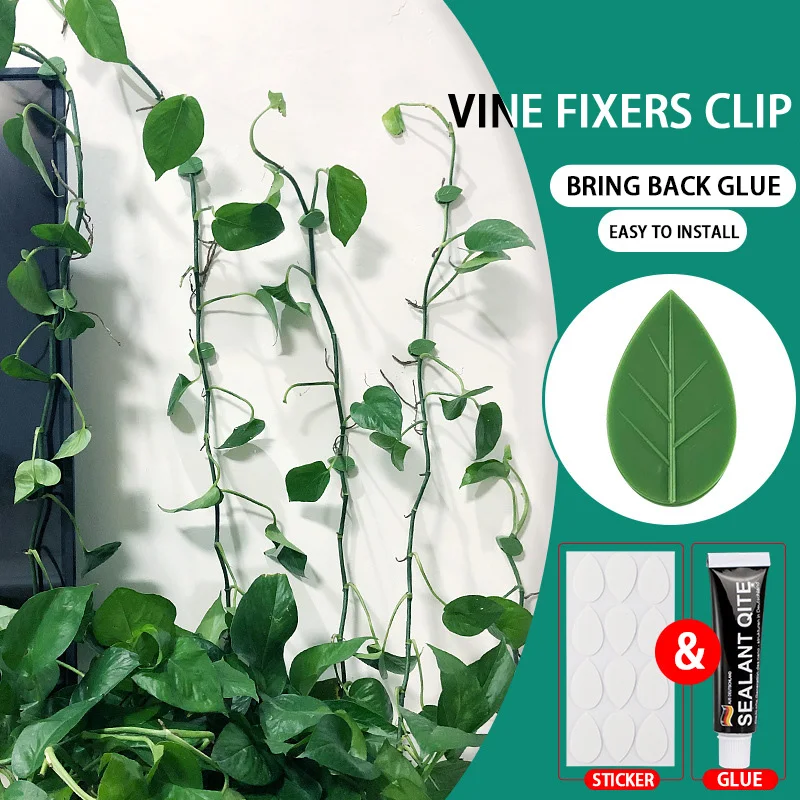 

Decorate Self Adhesive Vine Fixers Clip Plant Climbing Wall Fixture Hooks Green Dill Fixator Vine Plant Fixing Clip Green Plant