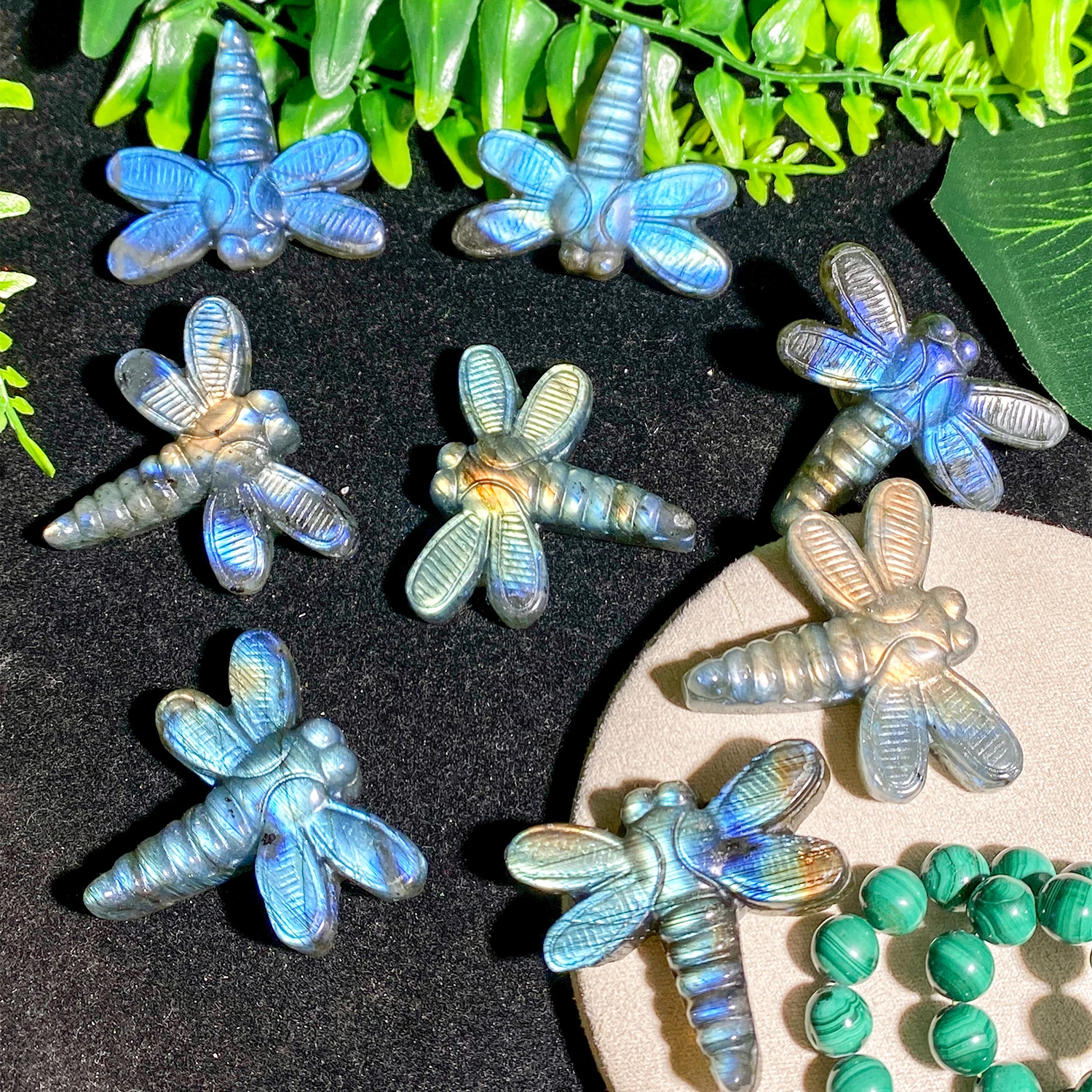 

Wholesale Natural healing crystal labradorite dragonfly carving for Room decoration